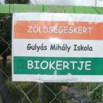 A csorvási Gulyás Mihály Iskola tanulókertjének a megtekintése