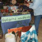 Kiállítás a XV. Madzagfalvi Napokon