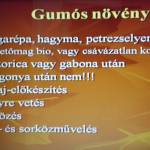 Biokertész előadások 7. Szántóföldi növényvédelem