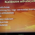 Biokertész előadások 7. Szántóföldi növényvédelem
