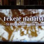 Biokertész előadások 8. Gyógy- és fűszernövény a kiskertben