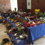 Madzagfalvi napok 2015 (4)