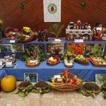 Madzagfalvi napok 2015 (5)