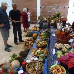 Madzagfalvi napok 2015 (6)
