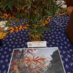 Madzagfalvi napok 2015