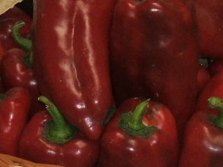 Paprika Paprika