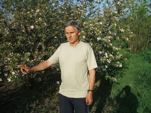 Budai László