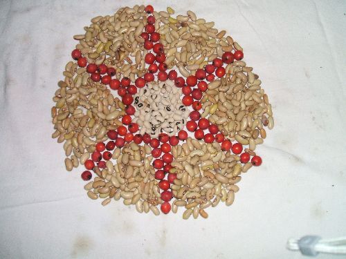 Mandala (1. kép) Mandala (1. kép)