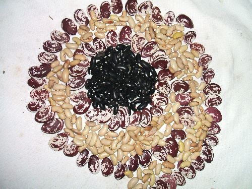 Mandala (4. kép) Mandala (4. kép)