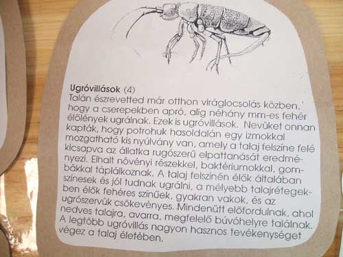 Ugróvillások