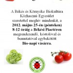 Bionapi vásár