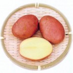 Góliát