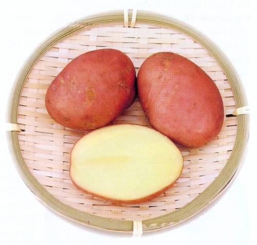 Góliát Góliát