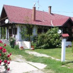 Diós tanya (1. kép)