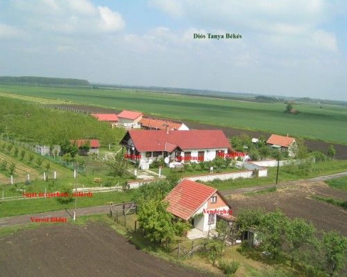Diós tanya (3. kép)