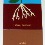 A kert talaja