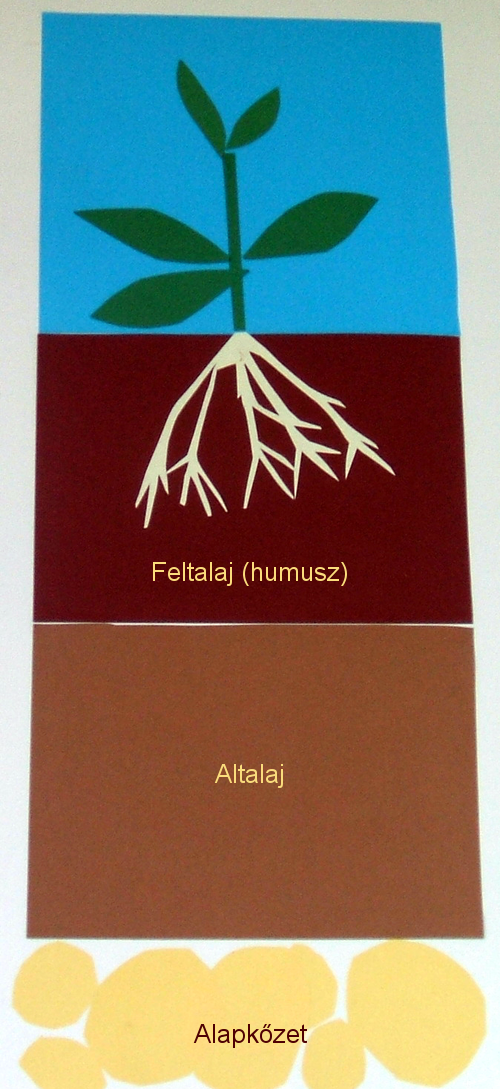 A kert talaja