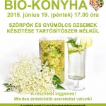 Biokonyha: Szörpök és gyümölcs dzsemek készítése tartósítószer nélkül